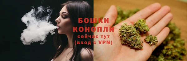 прущие крисы Белоозёрский